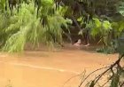 Jovem é resgatada após ser arrastada por correnteza no Rio Sapucaí